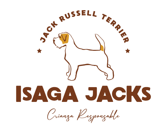 Isaga Jacks Criadero de Jack Russel Terrier en Colombia