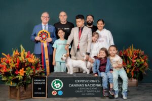 Putin de Isaga Jacks - Best in Show Adulto, más que un campeón: una visión de crianza